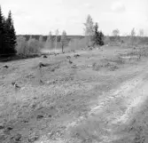 Romfartuna sn Äs RAÄ 119 Arkeologisk undersökning utförd av Vlm / Åke Hyenstrand och 
Ann Nilsson 1967
Översikt av gravfältet.