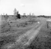 Romfartuna sn Äs RAÄ 119 Arkeologisk undersökning utförd av Vlm / Åke Hyenstrand och Ann Nilsson 1967
Översikt av gravfältet.