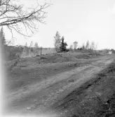 Romfartuna sn Äs RAÄ 119 Arkeologisk undersökning utförd av Vlm / Åke Hyenstrand och Ann Nilsson 1967
Översikt av gravfältet.