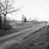 Romfartuna sn Äs RAÄ 119 Arkeologisk undersökning utförd av Vlm / Åke Hyenstrand och Ann Nilsson 1967
Översikt av gravfältet.