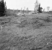 Romfartuna sn Äs RAÄ 119 Arkeologisk undersökning utförd av Vlm / Åke Hyenstrand och Ann Nilsson 1967
Översikt av gravfältet.