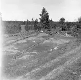 Romfartuna sn Äs RAÄ 119 Arkeologisk undersökning utförd av Vlm / Åke Hyenstrand och Ann Nilsson 1967
Översikt av gravfältet.