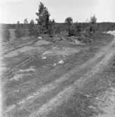 Romfartuna sn Äs RAÄ 119 Arkeologisk undersökning utförd av Vlm / Åke Hyenstrand och Ann Nilsson 1967
Översikt av gravfältet.