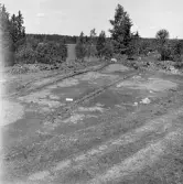 Romfartuna sn Äs RAÄ 119 Arkeologisk undersökning utförd av Vlm / Åke Hyenstrand och Ann Nilsson 1967
Översikt av gravfältet.