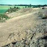 Romfartuna sn Äs RAÄ 119 Arkeologisk undersökning utförd av Vlm / Åke Hyenstrand och Ann Nilsson 1967
Gravfältet efter avtor
:: Samhör med:  Inv.nr 18164