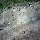 Romfartuna sn Äs RAÄ 119 Arkeologisk undersökning utförd av Vlm / Åke Hyenstrand och Ann Nilsson 1967
Gravfältet efter avtorvning.
Tornfoto.
:: Samhör med:  Inv.nr 18164