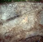 Romfartuna sn Äs RAÄ 119 Arkeologisk undersökning utförd av Vlm / Åke Hyenstrand och Ann Nilsson 1967
Gravfältet efter avtorvning.
Tornfoto.
:: Samhör med:  Inv.nr 18164