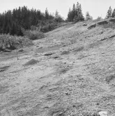 Romfartuna sn Äs RAÄ 119 Arkeologisk undersökning utförd av Vlm / Åke Hyenstrand och Ann Nilsson 1967
Grusåsen med gravfältet vid Äs.
Samhör med:  Inv.nr 18164