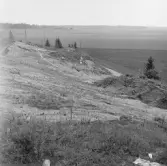 Romfartuna sn Äs RAÄ 119 Arkeologisk undersökning utförd av Vlm / Åke Hyenstrand och Ann Nilsson 1967
Grusåsen med gravfältet vid Äs.
Samhör med:  Inv.nr 18164