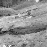 Romfartuna sn Äs RAÄ 119 Arkeologisk undersökning utförd av Vlm / Åke Hyenstrand och Ann Nilsson 1967
Grusåsen med gravfältet vid Äs.
Samhör med:  Inv.nr 18164