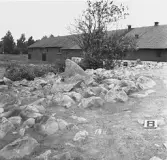 Björskog sn, Åsta 2:3 Arkeologisk undersökning p g a  breddning av väg 510 utförd av Vlm / H.