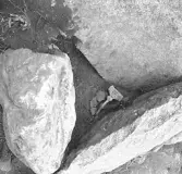 Björskog sn, Åsta 2:3 Arkeologisk undersökning p g a  breddning av väg 510 utförd av Vlm / H.