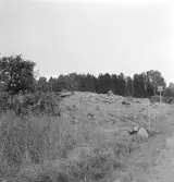 Björskog sn, Åsta 2:3 Arkeologisk undersökning p g a  breddning av väg 510 utförd av Vlm / H.