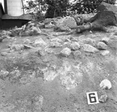 Björskog sn, Åsta 2:3 Arkeologisk undersökning p g a  breddning av väg 510 utförd av Vlm / H.