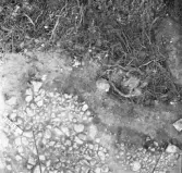 Björskog sn, Åsta 2:3 Arkeologisk undersökning p g a  breddning av väg 510 utförd av Vlm / H.