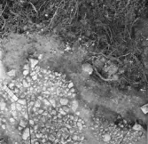 Björskog sn, Åsta 2:3 Arkeologisk undersökning p g a  breddning av väg 510 utförd av Vlm / H.