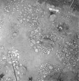 Björskog sn, Åsta 2:3 Arkeologisk undersökning p g a  breddning av väg 510 utförd av Vlm / H.