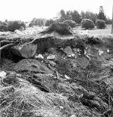 Björskog sn, Åsta 2:3 Arkeologisk undersökning p g a  breddning av väg 510 utförd av Vlm / H.