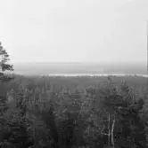 Falun, Gums klack, Sundborn.