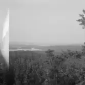 Falun, Gums klack, Sundborn.