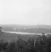 Falun, Gums klack, Sundborn.