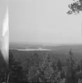 Falun, Gums klack, Sundborn.