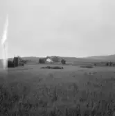 Falun, Karlborn, Sundborn. Lilla Karlborn.