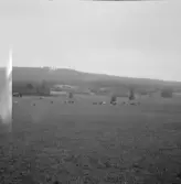 Falun, Karlborn, Sundborn. Kolarbo och Vettberget från Karlborn.