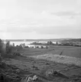 Falun, Julänge, Sundborn.