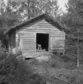 Falun, Håsjön, Finnbodarna.