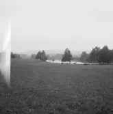 Falun, Håsjön, Finnbodarna, Sundborn. Hobbornsjön.