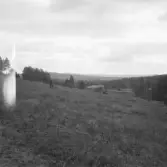 Falun, Gallsjön, Skuggarvet, Sundborn. Dalen åt Ö från vägen mellan Gallsjön och Boda.