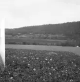 Falun, Gallsjön, Skuggarvet, Sundborn.