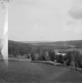 Falun, Gallsjön, Skuggarvet, Sundborn.