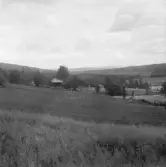 Falun, Gallsjön, Skuggarvet, Sundborn.