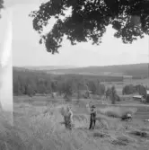 Falun, Gallsjön, Skuggarvet, Sundborn. Gallsjödalen från Bobergs, Skuggarvet.