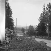 Falun, Gallsjön, Skuggarvet, Sundborn.