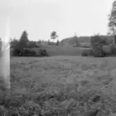 Falun, Gallsjön, Skuggarvet, Sundborn.