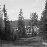 Falun, Finngärds, Sundborn. Övervalls tjärn norr om Finngärds fäbodar.