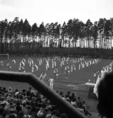 Gymnastikuppvisningen, 25/5 1941. 
Manliga gymnaster i olika åldrar har uppvisning på Värendsvallen. 
Fotot taget från läktaren.