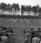 Gymnastikuppvisningen, 25/5 1941. 
Kvinnliga gymnaster har uppvisning på Värendsvallen. 
Fotot taget från publikläktaren.