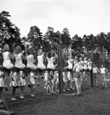 Gymnastikuppvisningen, 25/5 1941. 
Kvinnliga gymnaster har uppvisning på bommar, med viss assistans av
några manliga gymnaster.