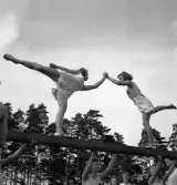 Gymnastikuppvisningen, 25/5 1941. 
Kvinnliga gymnaster har uppvisning på bom.