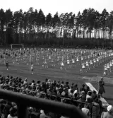 Gymnastikuppvisningen, 25/5 1941. 
Truppgymnastik av kvinnliga gymnaster. 
Fotot taget från publikläktaren.