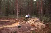Svedstjärten. Arkeologisk undersökning av kolningsgrop.