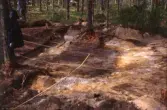 Svedstjärten. Arkeologisk undersökning av kolningsgrop.