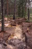 Svedstjärten. Arkeologisk undersökning av kolningsgrop.