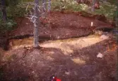 Svedstjärten. Arkeologisk undersökning av kolningsgrop.