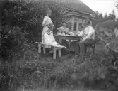 Saft och kaffe i det gröna, 1920-tal