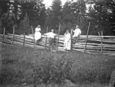 Grupp sitter på eller lutar sig mot en gärdesgård, 1920-tal